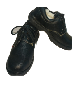 Giày Bảo Hộ DPH