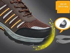 Giày Bảo Hộ Hunter Sport 806 - Ảnh 2