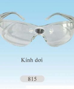Kính dơi bảo hộ Bảo Bình 815 - Ảnh 2